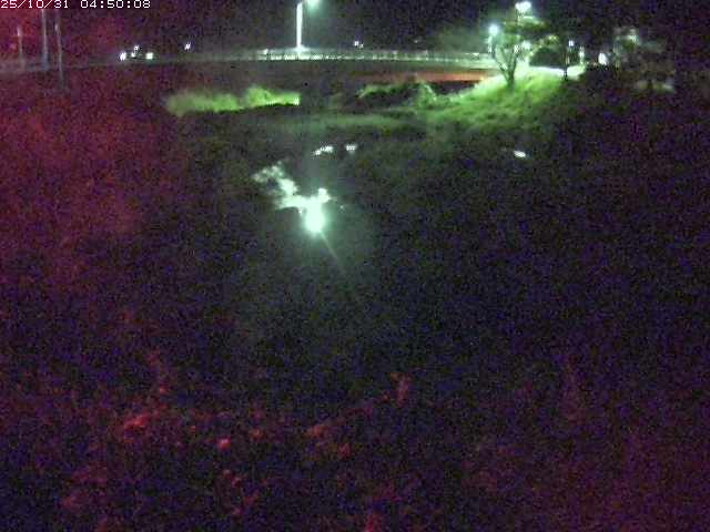 東長田川12025/10/31 08:00