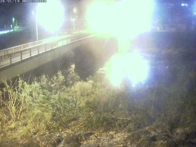 日野川３2026/01/19 12:20:00