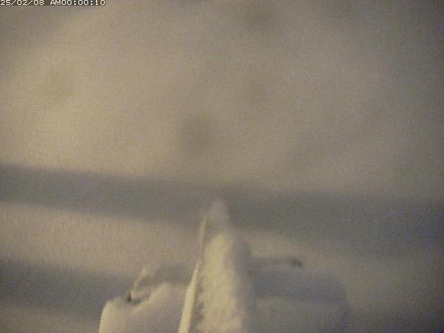 日野川３2026/02/08 14:50:00