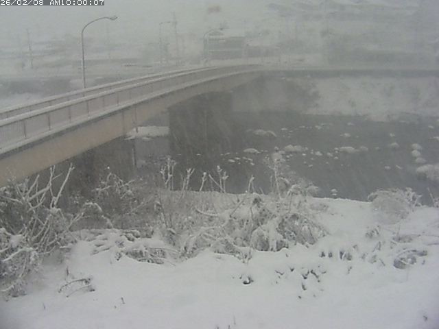 日野川３2026/02/08 14:50:00