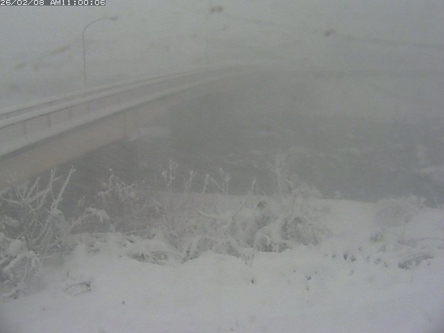 日野川３2026/02/08 14:50:00