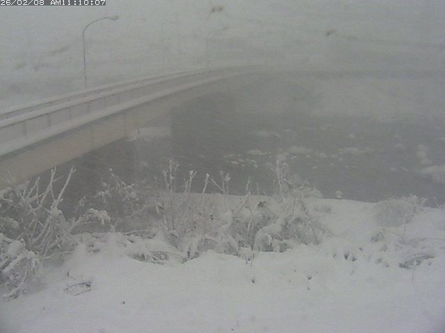 日野川３2026/02/08 14:50:00