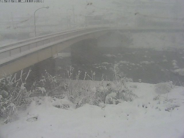 日野川３2026/02/08 14:50:00