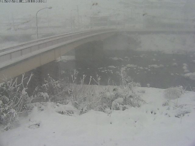 日野川３2026/02/08 14:50:00