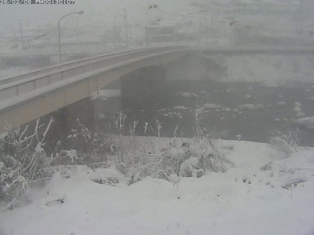 日野川３2026/02/08 14:50:00