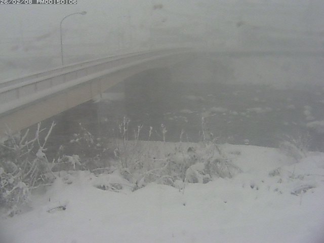 日野川３2026/02/08 14:50:00