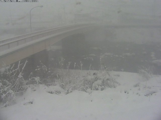 日野川３2026/02/08 14:50:00