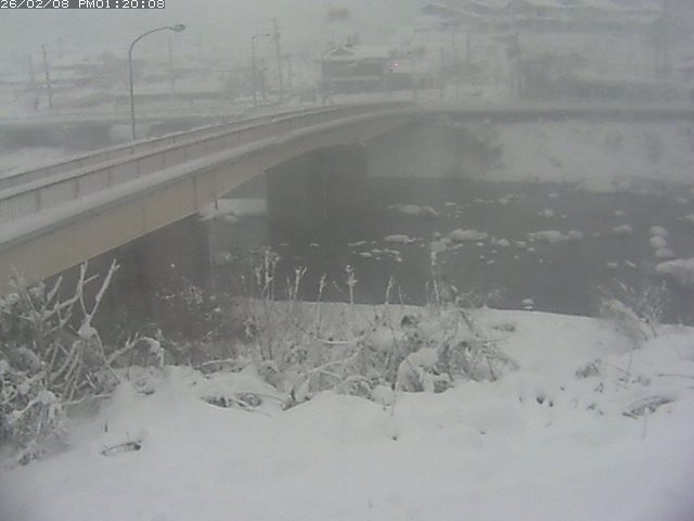 日野川３2026/02/08 14:50:00