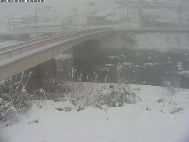 日野川３2026/02/08 14:50:00