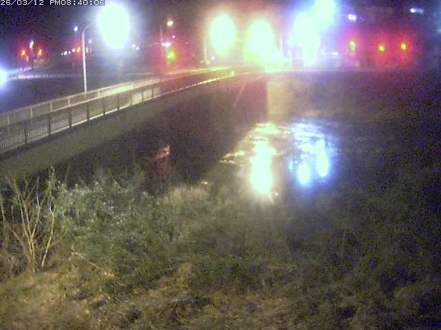 日野川３2026/03/12 22:00:00