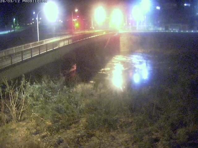 日野川３2026/03/12 22:00:00