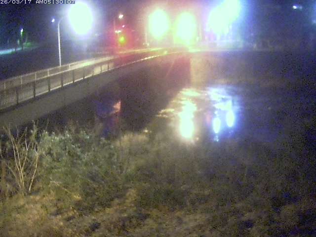 日野川３2026/03/17 7:00:00