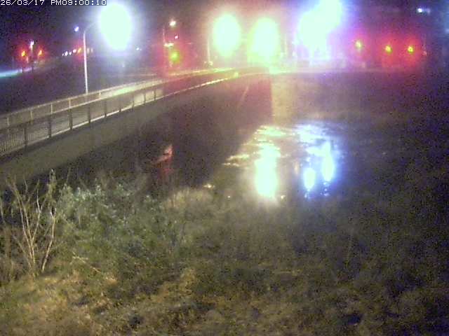 日野川３2026/03/18 10:50:00