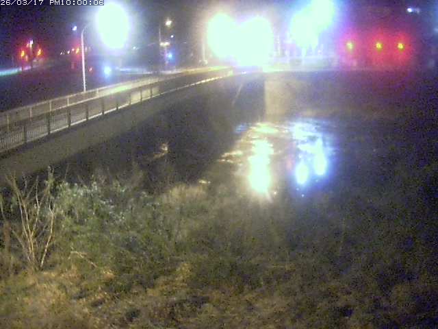 日野川３2026/03/18 10:50:00