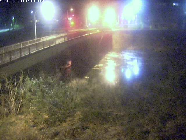 日野川３2026/03/18 10:50:00