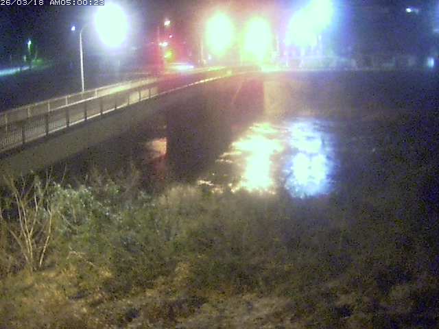 日野川３2026/03/18 10:50:00