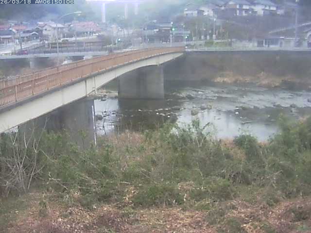 日野川３2026/03/18 10:50:00