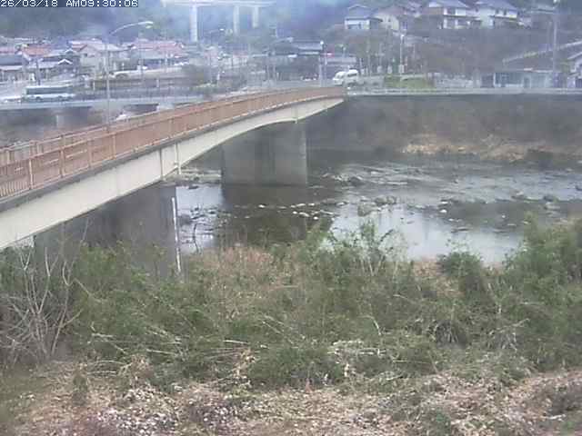 日野川３2026/03/18 10:50:00