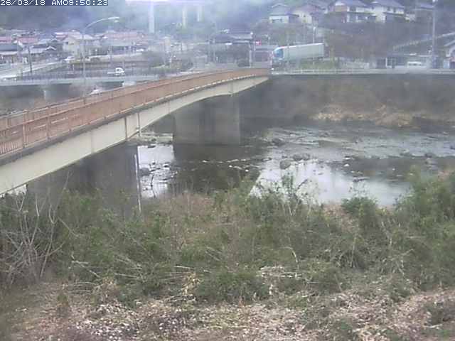 日野川３2026/03/18 10:50:00