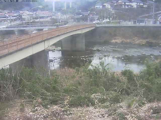 日野川３2026/03/18 10:50:00