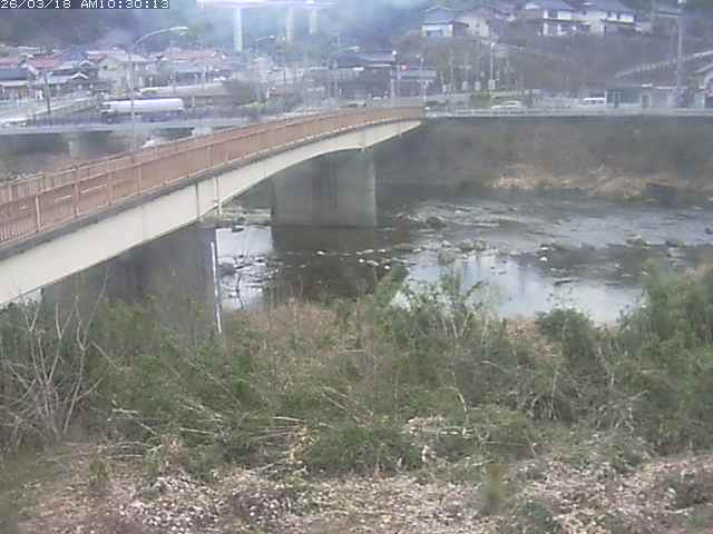 日野川３2026/03/18 10:50:00