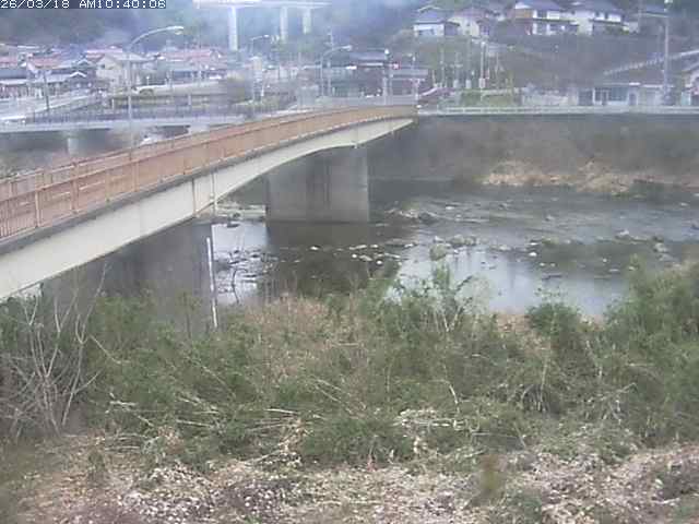 日野川３2026/03/18 10:50:00