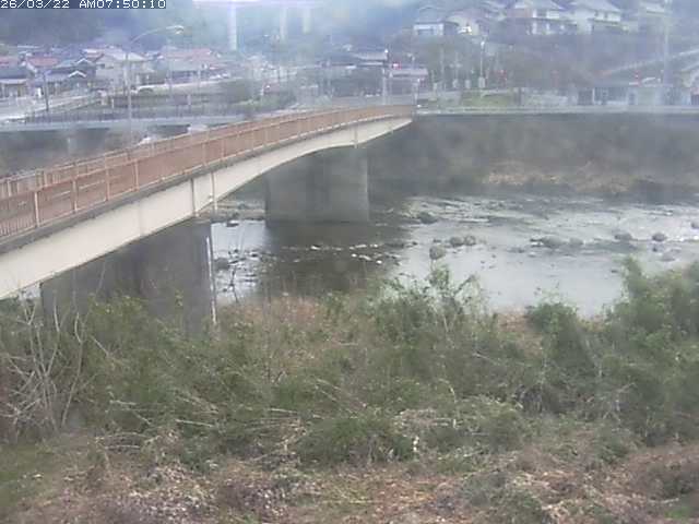 日野川３2026/03/22 11:30:00