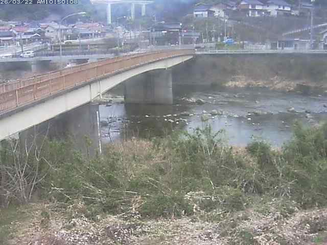 日野川３2026/03/22 11:30:00