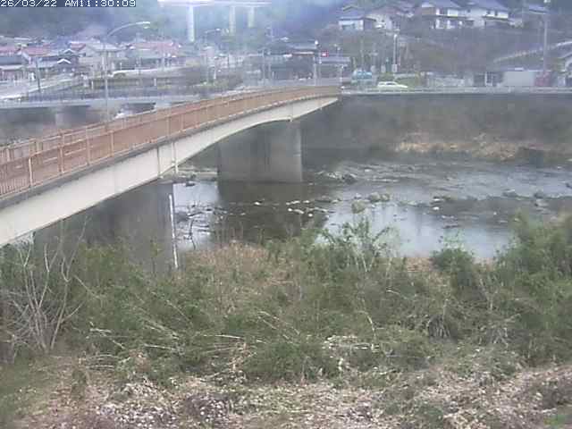 日野川３2026/03/22 11:30:00