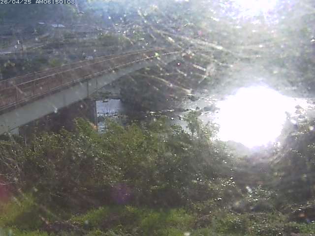 日野川３2026/04/25 8:30:00