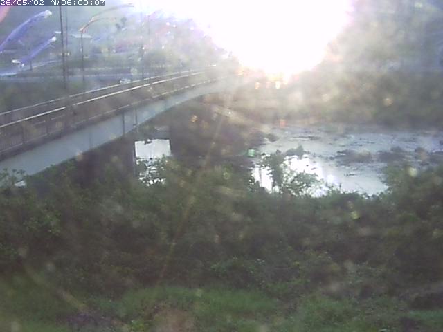 日野川３2026/05/02 8:00:00