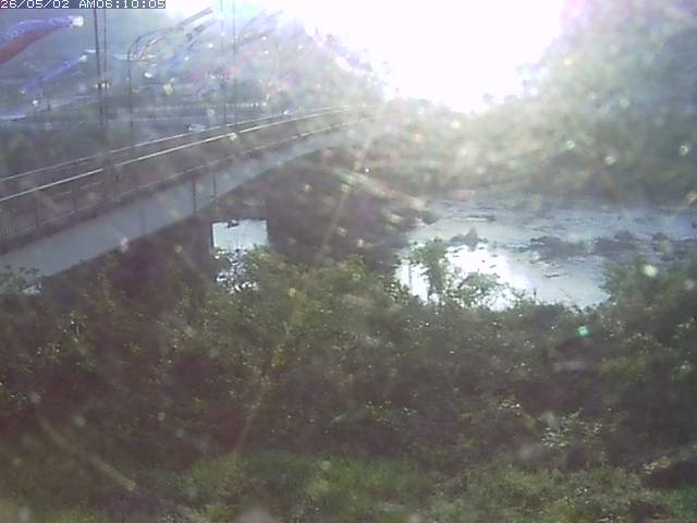 日野川３2026/05/02 8:00:00