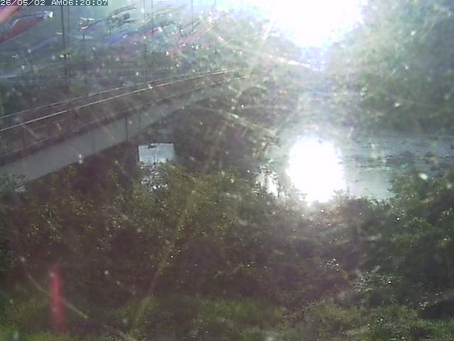 日野川３2026/05/02 8:00:00