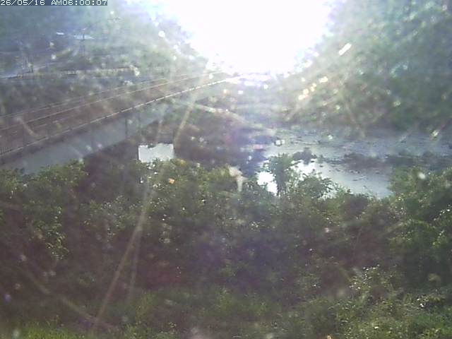 日野川３2026/05/16 11:10:00