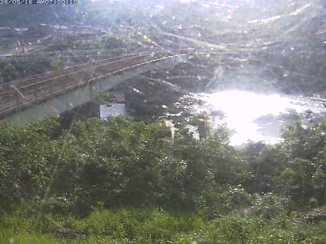 日野川３2026/05/16 11:10:00