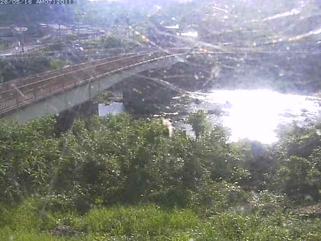 日野川３2026/05/16 11:10:00
