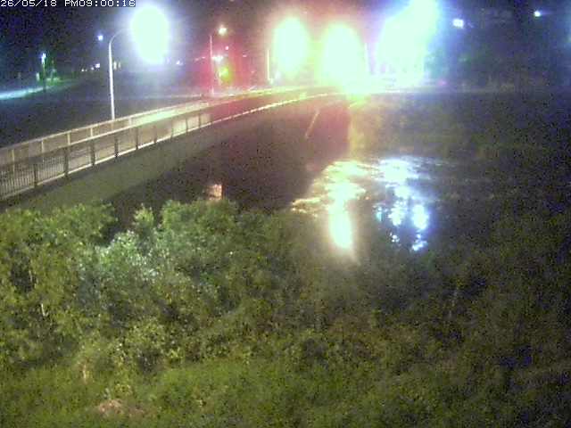 日野川３2026/05/19 10:40:00
