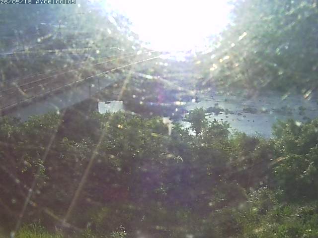 日野川３2026/05/19 10:40:00