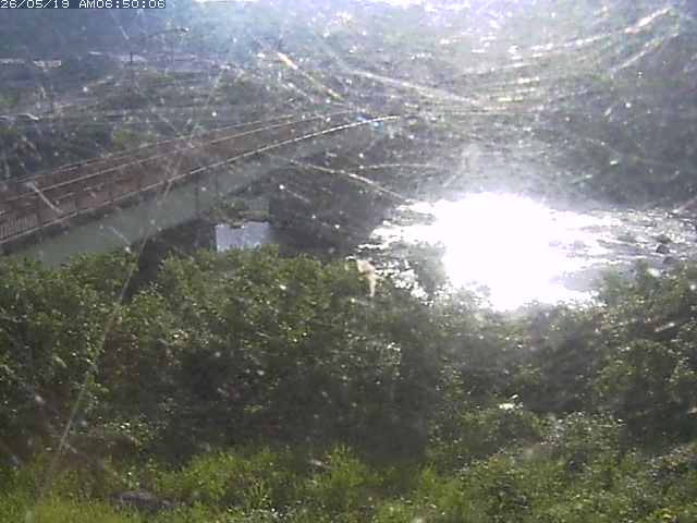 日野川３2026/05/19 10:40:00