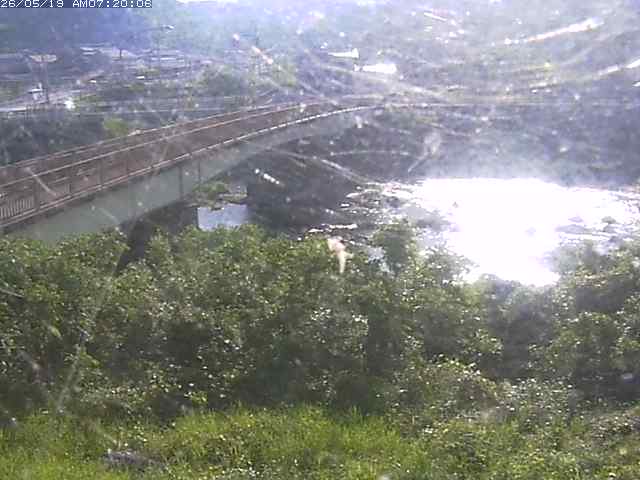日野川３2026/05/19 10:40:00