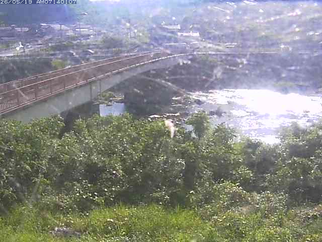 日野川３2026/05/19 10:40:00