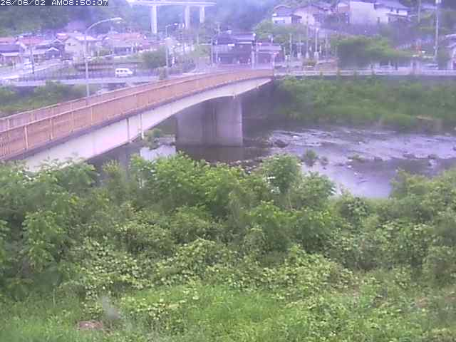 日野川３2026/06/02 11:50:00