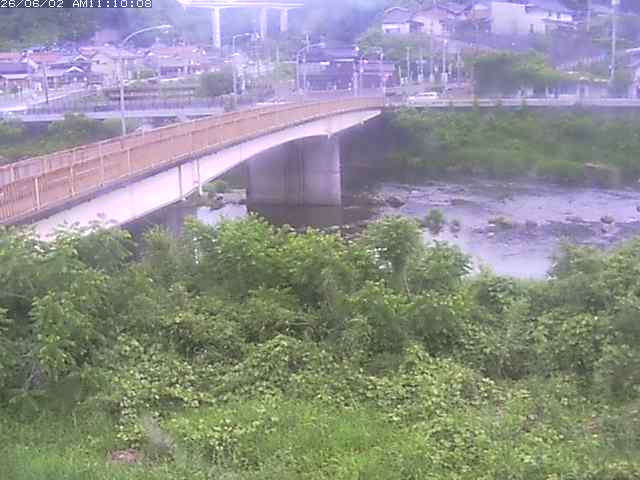 日野川３2026/06/02 11:50:00