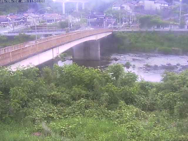 日野川３2026/06/02 11:50:00