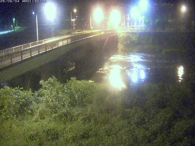 日野川３2025/06/04 2:30:00