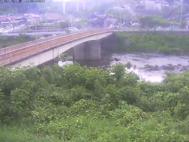 日野川３2026/06/09 13:30:00