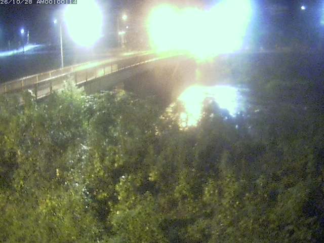 日野川３2026/10/28 9:00:00