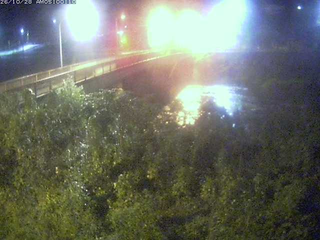 日野川３2026/10/28 9:00:00