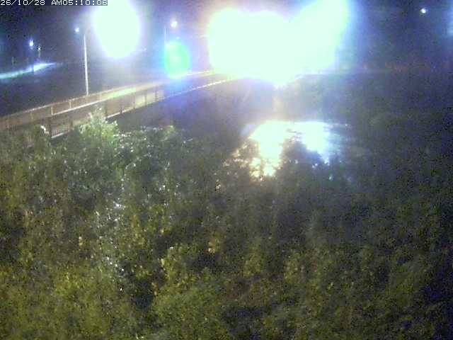日野川３2026/10/28 9:00:00