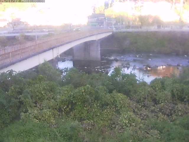 日野川３2025/11/22 20:10:00